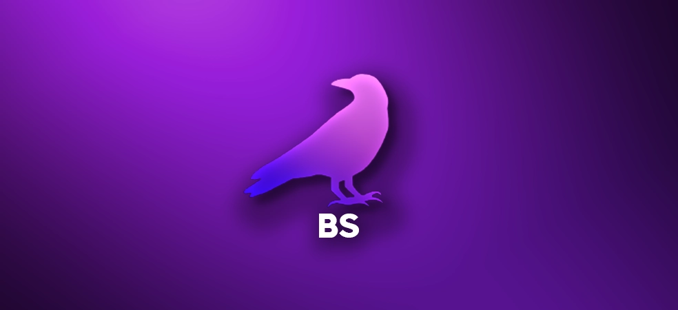 Raven BS blog post thumbnail
